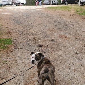 Meet your Posher, Tina